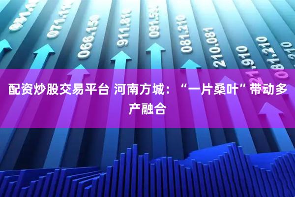 配资炒股交易平台 河南方城:“一片桑叶”带动多产融合