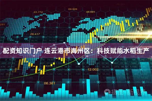 配资知识门户 连云港市海州区：科技赋能水稻生产